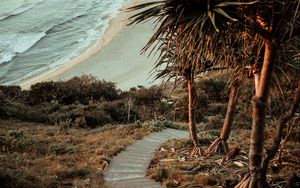 Preview wallpaper palm trees, stairs, ocean