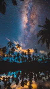 Preview wallpaper palm trees, starry sky, milky way, stars, night
