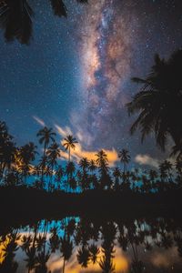Preview wallpaper palm trees, starry sky, milky way, stars, night