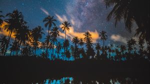 Preview wallpaper palm trees, starry sky, milky way, stars, night