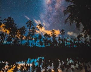 Preview wallpaper palm trees, starry sky, milky way, stars, night