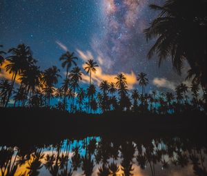 Preview wallpaper palm trees, starry sky, milky way, stars, night