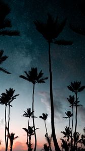Preview wallpaper palm trees, starry sky, night, silhouettes, dark