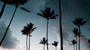 Preview wallpaper palm trees, starry sky, night, silhouettes, dark