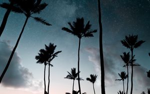 Preview wallpaper palm trees, starry sky, night, silhouettes, dark