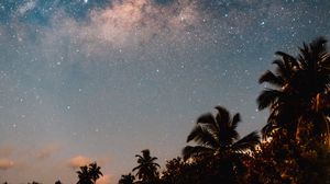 Preview wallpaper palm trees, starry sky, night, dark, trees