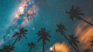 Preview wallpaper palm trees, starry sky, night, dark