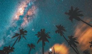 Preview wallpaper palm trees, starry sky, night, dark