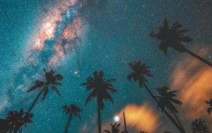 Preview wallpaper palm trees, starry sky, night, dark