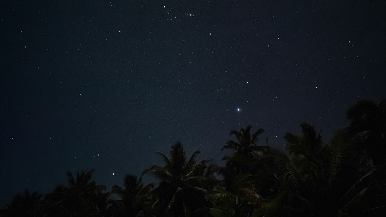 Wallpaper palm trees, starry sky, night, stars, dark