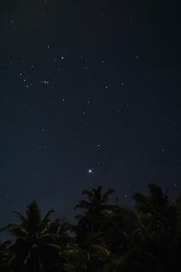 Preview wallpaper palm trees, starry sky, night, stars, dark