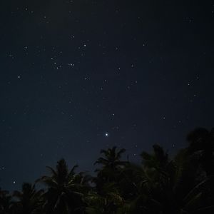 Preview wallpaper palm trees, starry sky, night, stars, dark