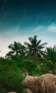 Preview wallpaper palm trees, starry sky, stones, tropics