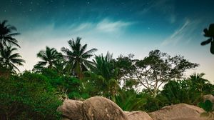 Preview wallpaper palm trees, starry sky, stones, tropics