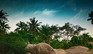 Preview wallpaper palm trees, starry sky, stones, tropics