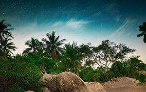 Preview wallpaper palm trees, starry sky, stones, tropics