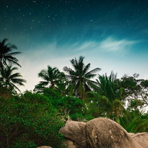 Preview wallpaper palm trees, starry sky, stones, tropics