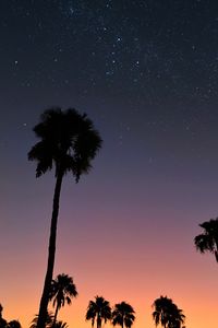 Preview wallpaper palm trees, starry sky, tropics, sunset, outline