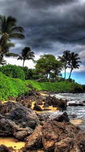 Preview wallpaper palm trees, stones, coast, clouds, sky, beach, storm