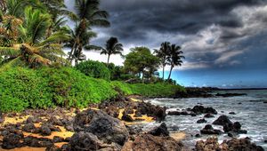 Preview wallpaper palm trees, stones, coast, clouds, sky, beach, storm