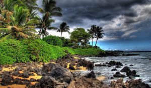 Preview wallpaper palm trees, stones, coast, clouds, sky, beach, storm