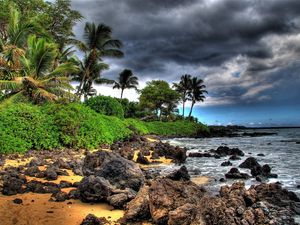 Preview wallpaper palm trees, stones, coast, clouds, sky, beach, storm