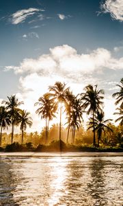 Preview wallpaper palm trees, sun, water, tropics, nature