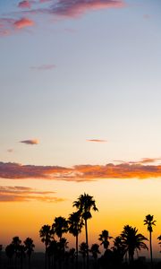 Preview wallpaper palm trees, sunset, clouds, dusk, dark