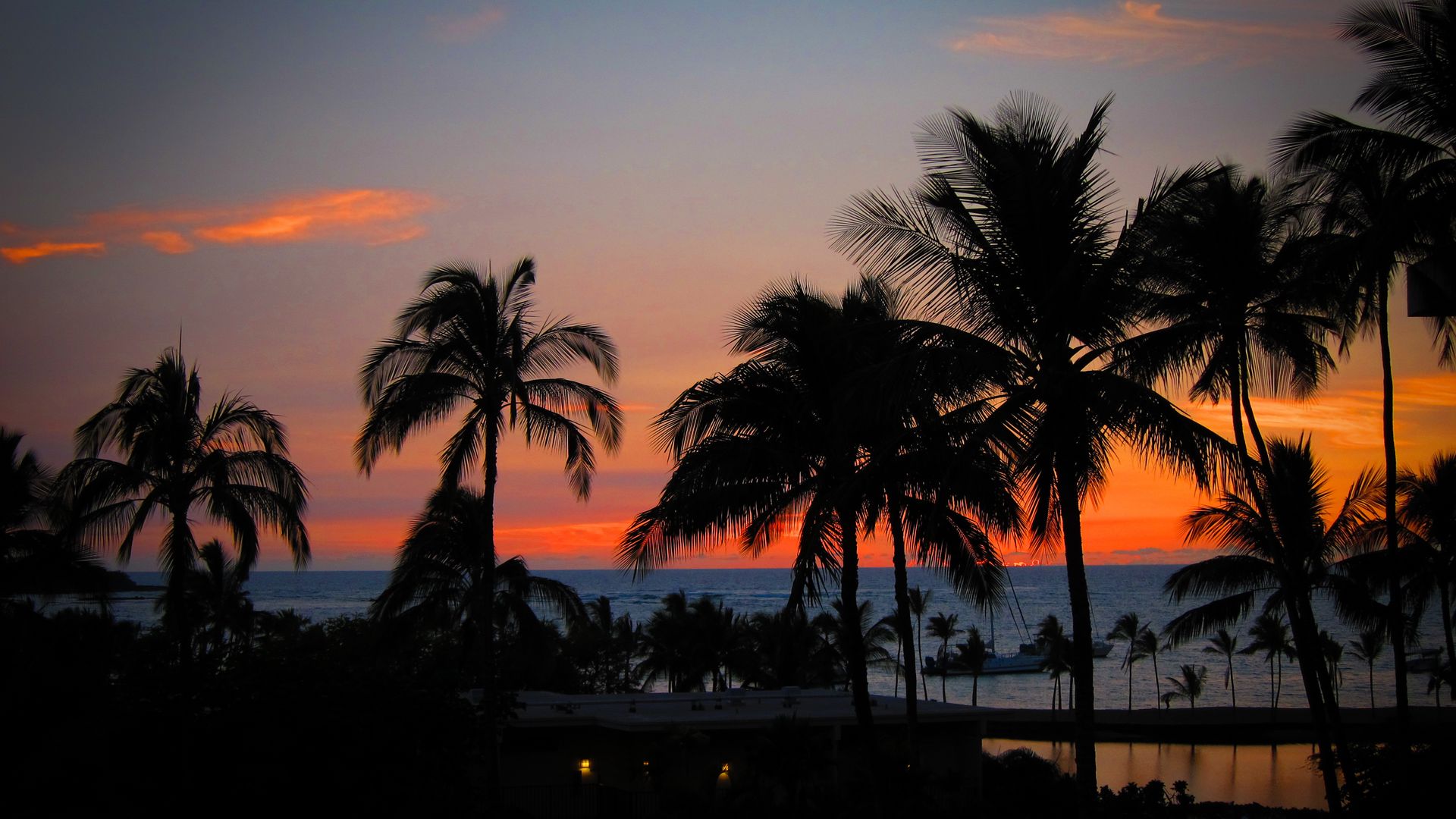 7 Palm Trees & Man With Bike Horiz Format TK 202b Telefonkarte Hawaiian Sunset 