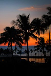 Preview wallpaper palm trees, sunset, hawaii, ocean, horizon