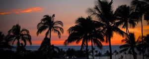 Preview wallpaper palm trees, sunset, hawaii, ocean, horizon