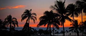 Preview wallpaper palm trees, sunset, hawaii, ocean, horizon