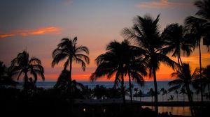 Preview wallpaper palm trees, sunset, hawaii, ocean, horizon
