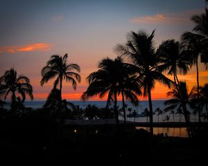 Preview wallpaper palm trees, sunset, hawaii, ocean, horizon