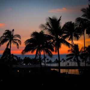 Preview wallpaper palm trees, sunset, hawaii, ocean, horizon