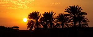 Preview wallpaper palm trees, sunset, horizon, sky, clouds, outlines, dark