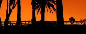 Preview wallpaper palm trees, sunset, night, silhouettes, sun