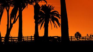Preview wallpaper palm trees, sunset, night, silhouettes, sun