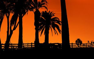 Preview wallpaper palm trees, sunset, night, silhouettes, sun