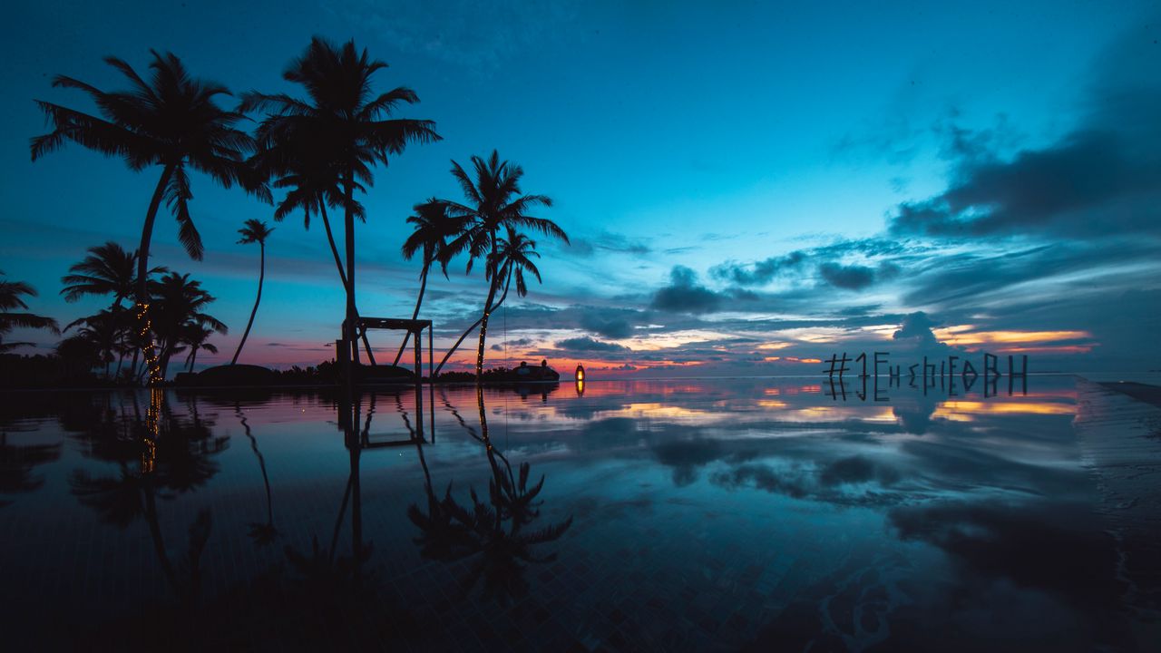 Wallpaper palm trees, sunset, ocean, evening, tropics