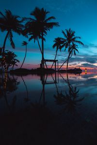 Preview wallpaper palm trees, sunset, ocean, evening, tropics