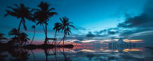 Preview wallpaper palm trees, sunset, ocean, evening, tropics