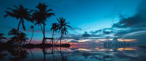 Preview wallpaper palm trees, sunset, ocean, evening, tropics