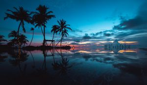 Preview wallpaper palm trees, sunset, ocean, evening, tropics