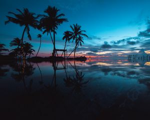 Preview wallpaper palm trees, sunset, ocean, evening, tropics