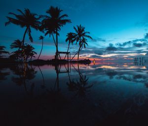 Preview wallpaper palm trees, sunset, ocean, evening, tropics
