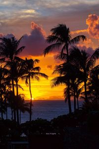 Preview wallpaper palm trees, sunset, ocean, clouds, night, tropics