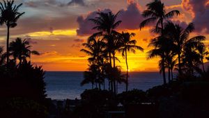 Preview wallpaper palm trees, sunset, ocean, clouds, night, tropics