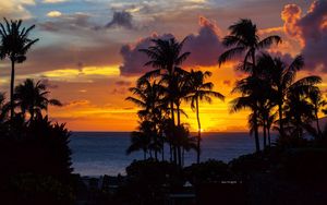 Preview wallpaper palm trees, sunset, ocean, clouds, night, tropics