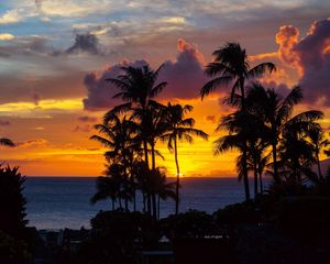 Preview wallpaper palm trees, sunset, ocean, clouds, night, tropics